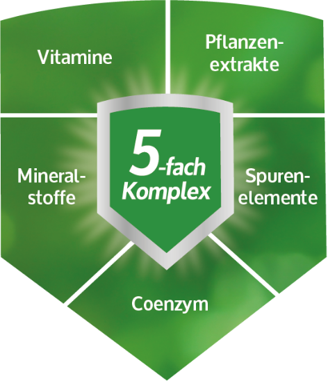 5-fach-komplex