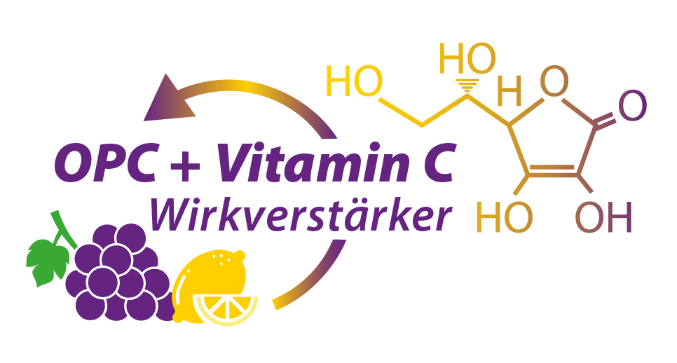 Vitamin-C_OPC_Wirkverstaerker
