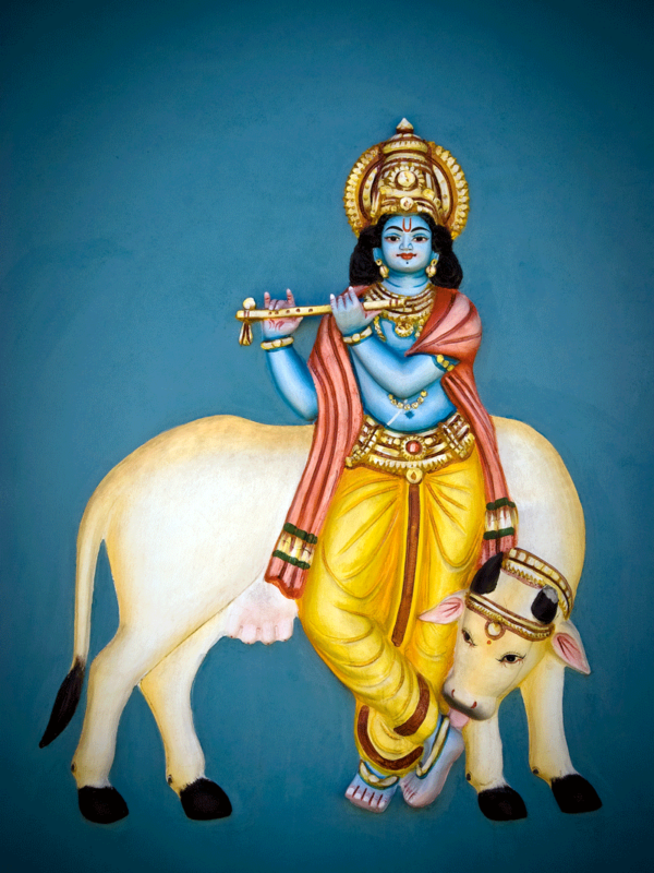 gott-krishna