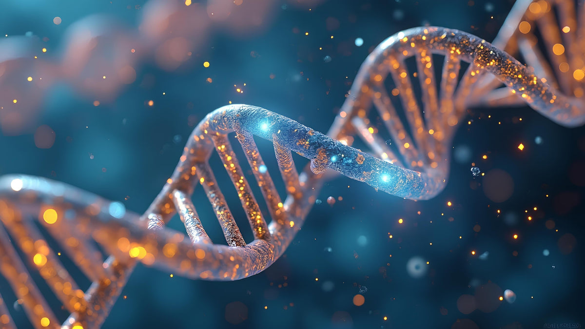 FokI-Polymorphismus im VDR-Gen und Typ-2-Diabetes: Was zeigt die Forschung?