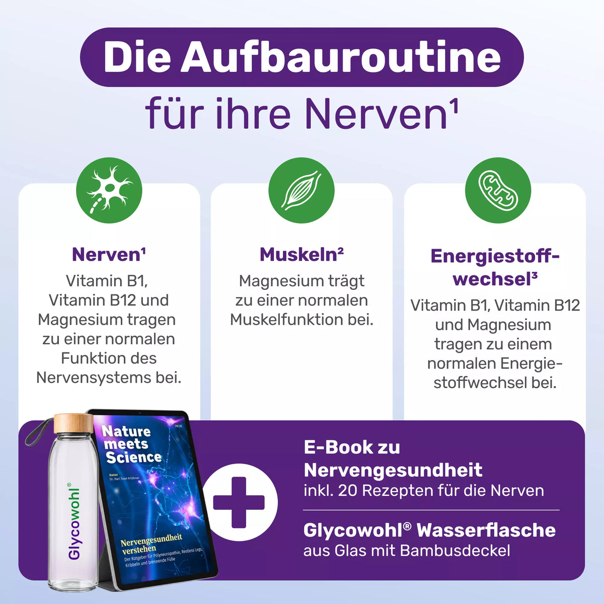 Nerven-Kur Intensiv 14 Wochen